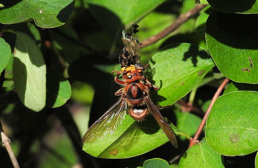 Zu Gast im Tierpark Dessau