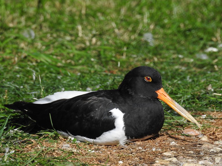 Zu Gast im Tierpark Dessau