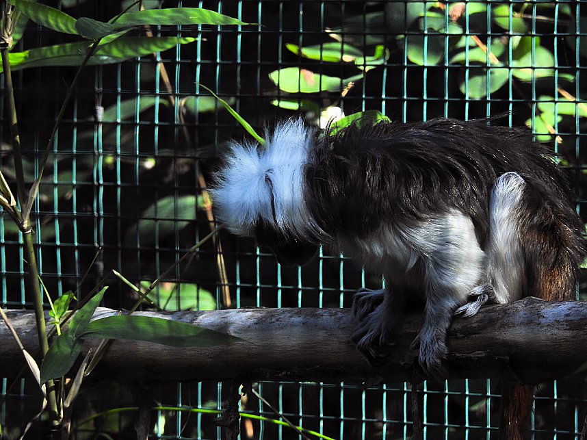 Zu Gast im Tierpark Dessau