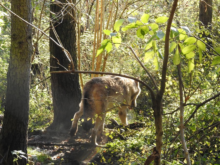 Peter Blei im B&auml;renpark Worbis