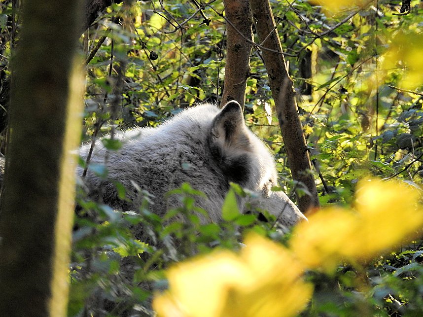 Peter Blei im B&auml;renpark Worbis
