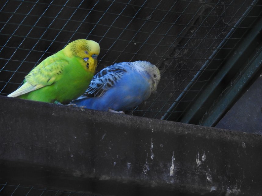 Peter Blei im B&auml;renpark Worbis