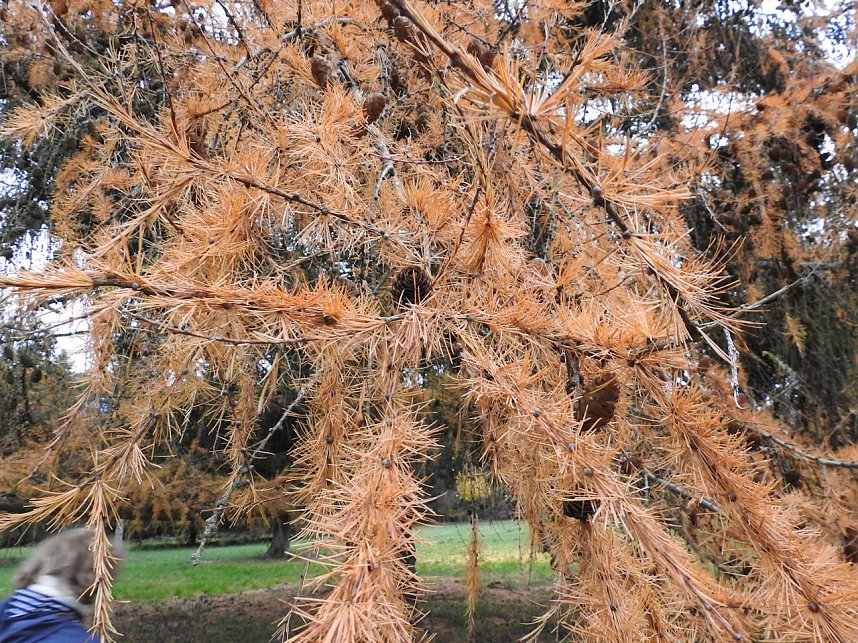 Abstecher in den W&ouml;rlitzer Park