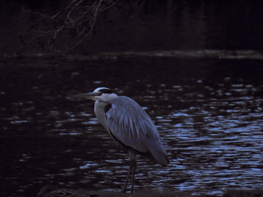 Abstecher in den W&ouml;rlitzer Park