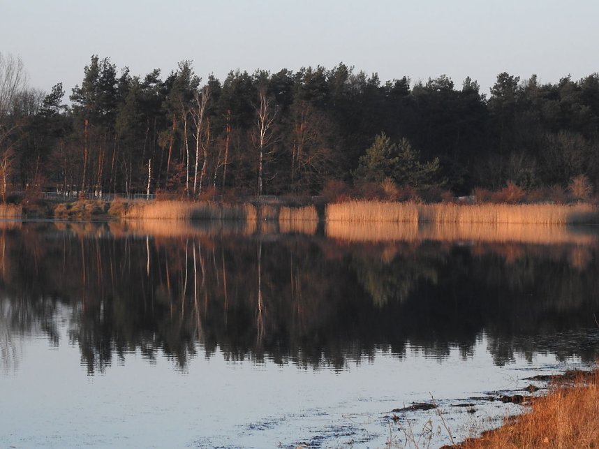 Mal ganz entspannt...