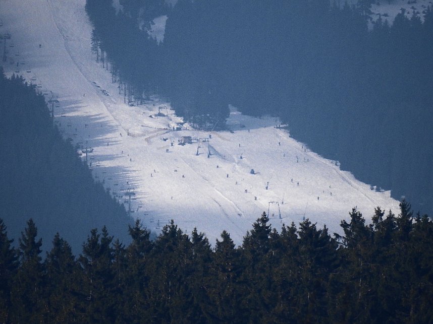 Schlittenhunde rennen rund um Benneckenstein