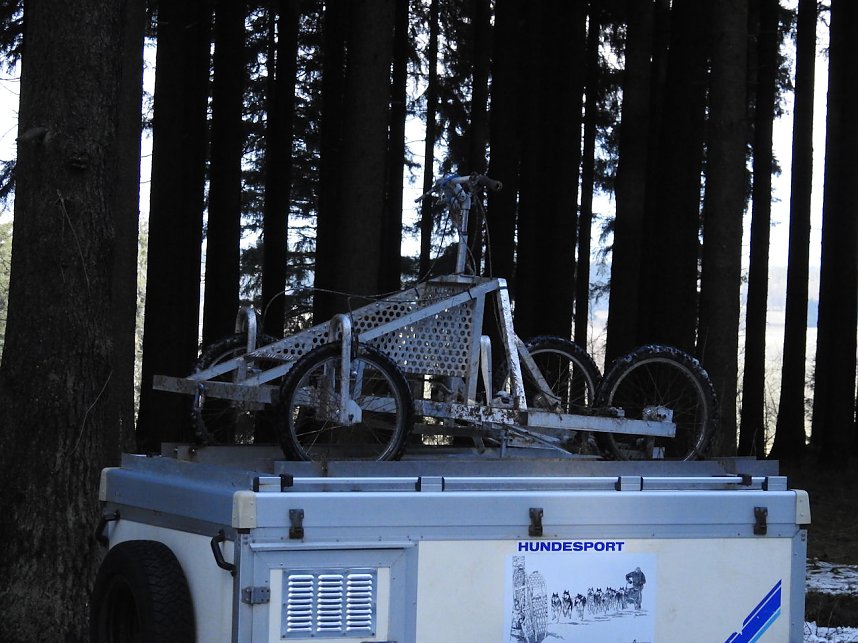 Schlittenhunde rennen rund um Benneckenstein