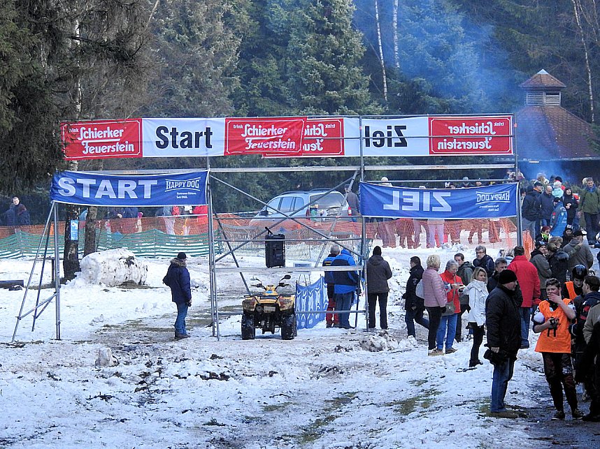 Schlittenhunde rennen rund um Benneckenstein