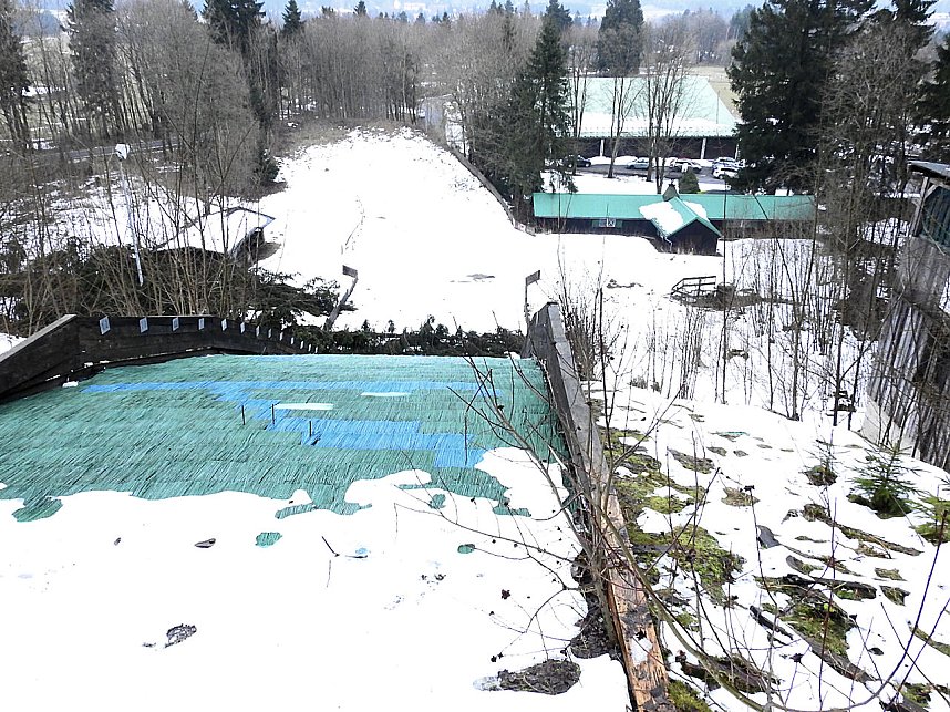 Schlittenhunde rennen rund um Benneckenstein
