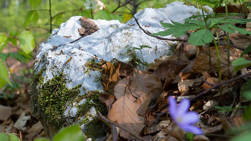 Fotoworkshop-Wochenende auf dem Karstwanderweg