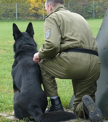 F&uuml;r tauglich befunden