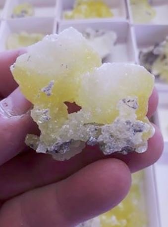 Wieder Kyffh&auml;user Markt unterm Denkmal