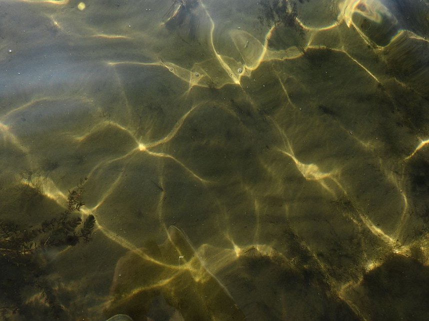 Lichtspiele am Seelhausener See