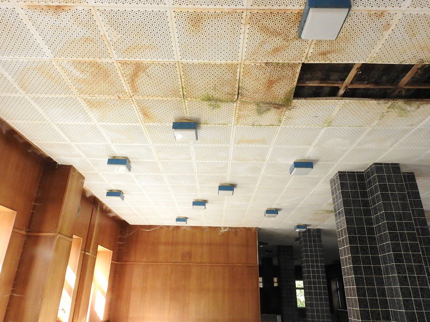 Erst Nazis, dann die SED