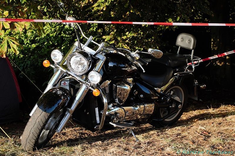 Emmenrausch am Stausee Kelbra