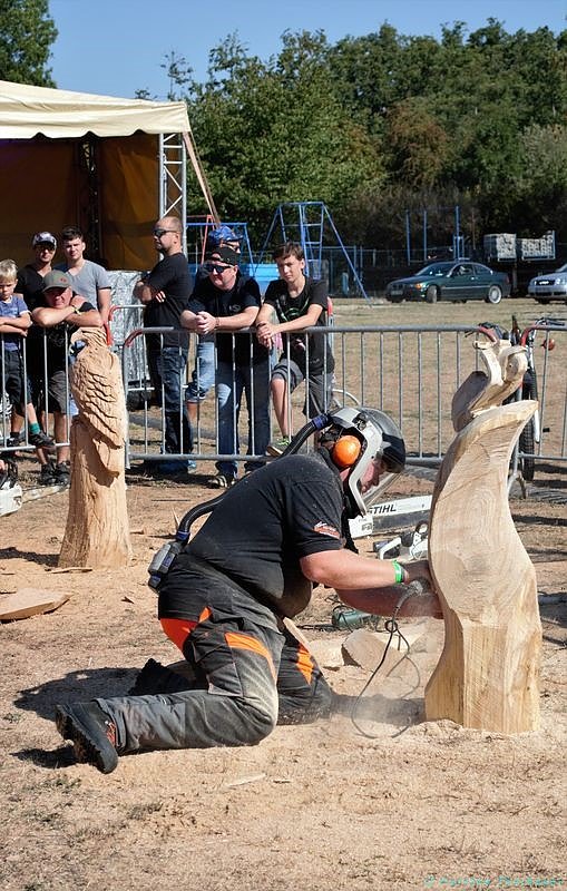 Emmenrausch am Stausee Kelbra