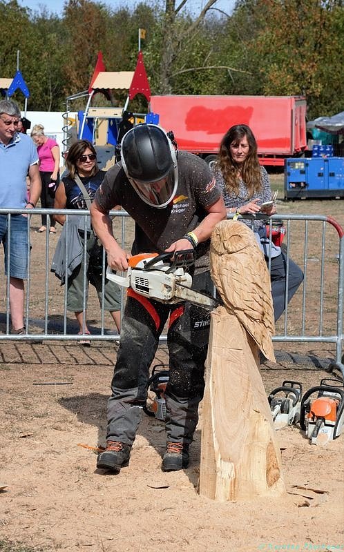 Emmenrausch am Stausee Kelbra
