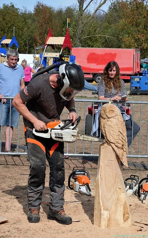 Emmenrausch am Stausee Kelbra