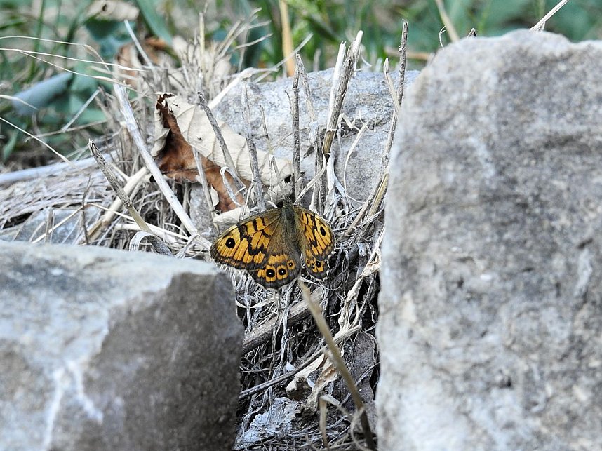 Zu Gast auf Schloss Pl&ouml;tzkau