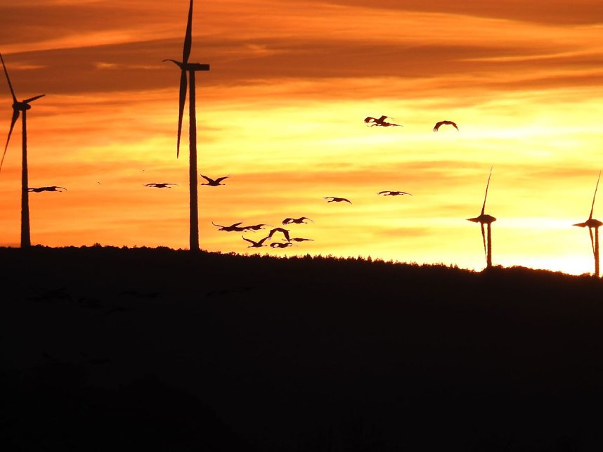 Die Vorboten flogen an