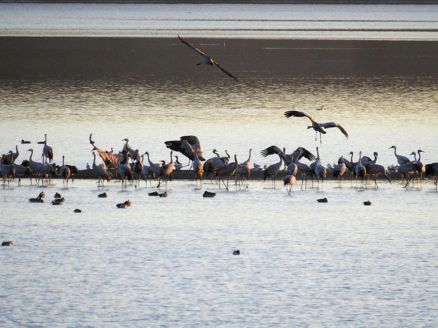 Die Vorboten flogen an