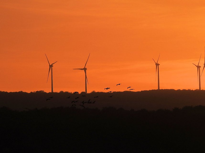 Die Vorboten flogen an