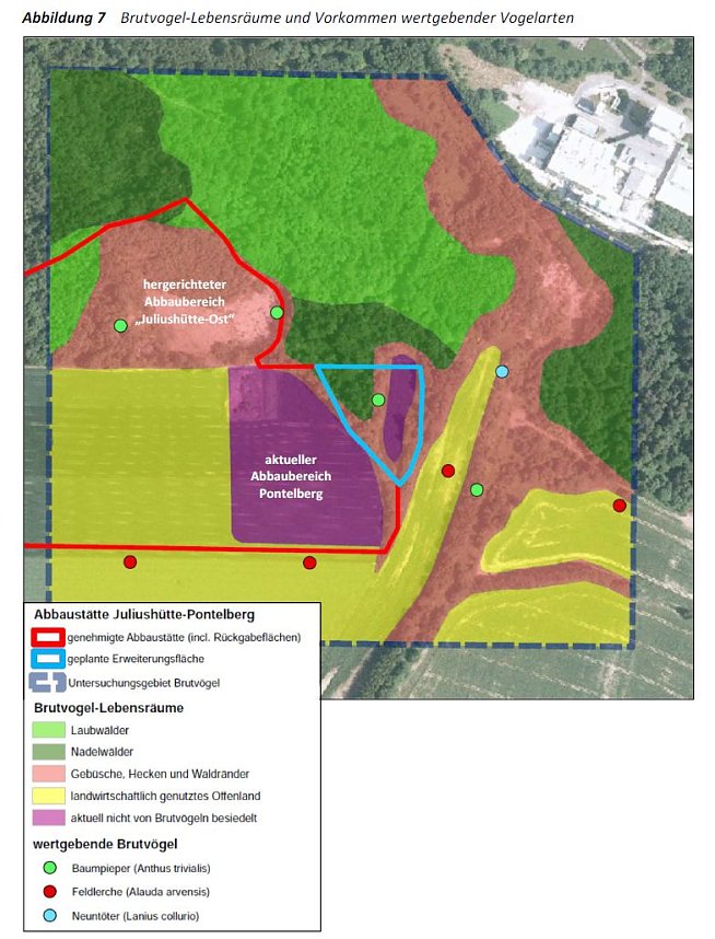 Proteste gegen weiteren Gipsabbau