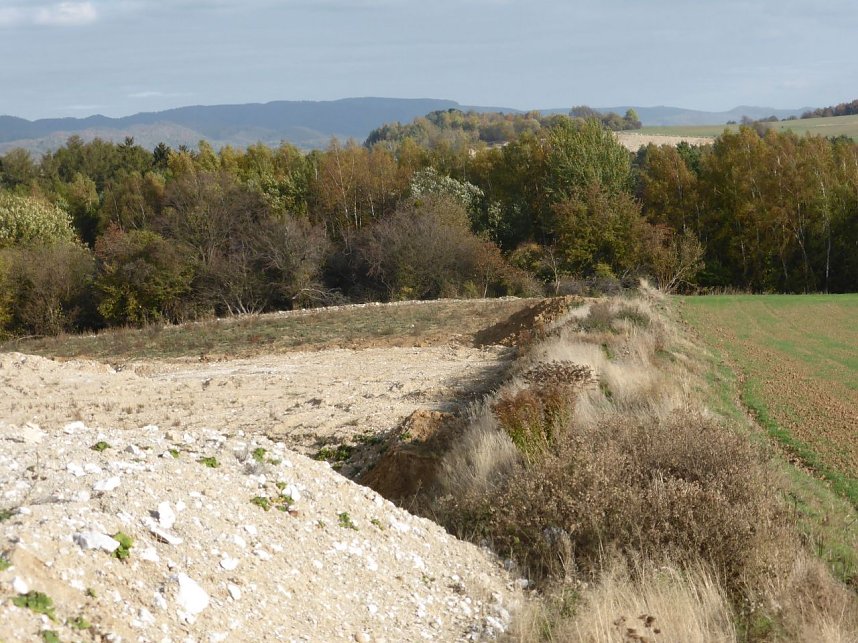Proteste gegen weiteren Gipsabbau