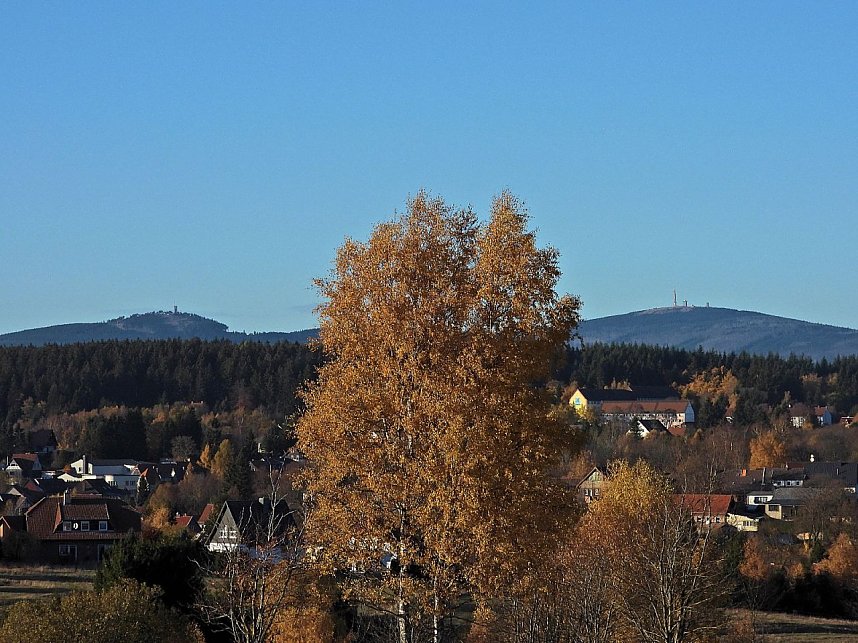 Herbst im Harz