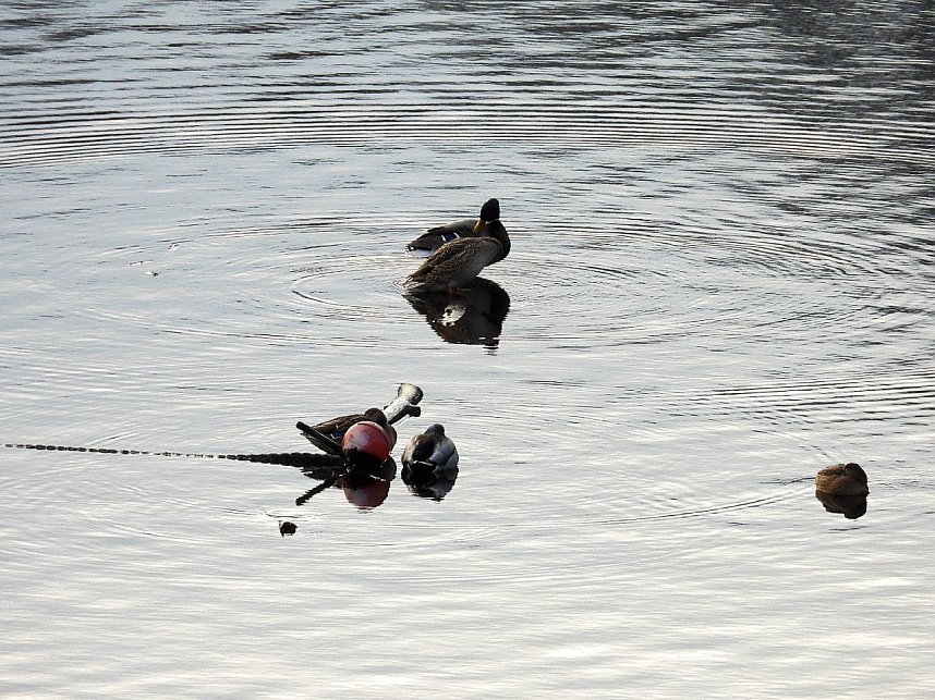 Wenig Wasser in der Talsperre
