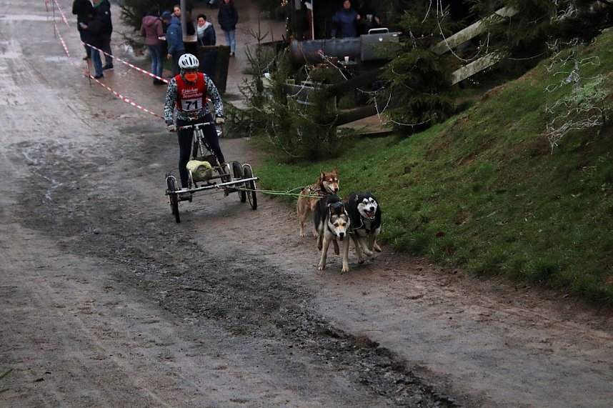 Hundeschlittenrennen in Pullman City