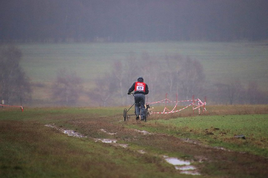 Hundeschlittenrennen in Pullman City