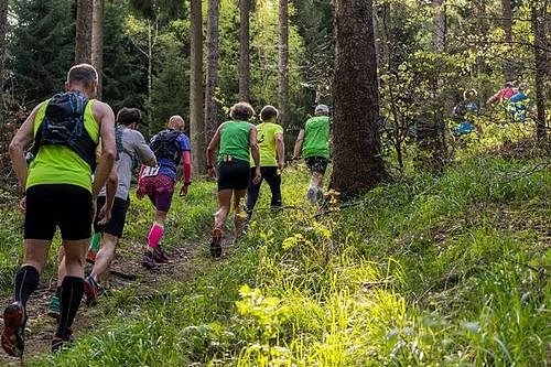 Einfach mal &uuml;ber den Harz