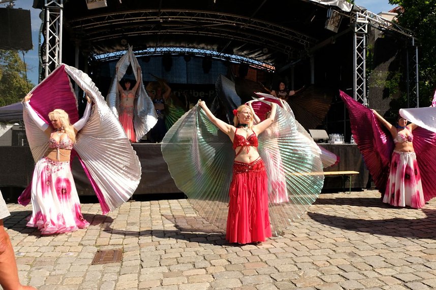 Sachsen-Anhalt-Tag in Quedlinburg