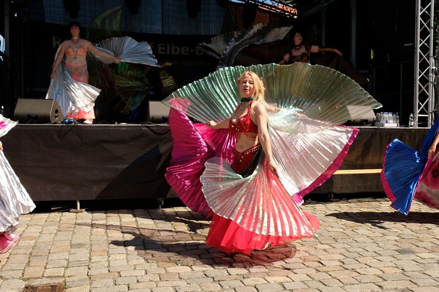 Sachsen-Anhalt-Tag in Quedlinburg