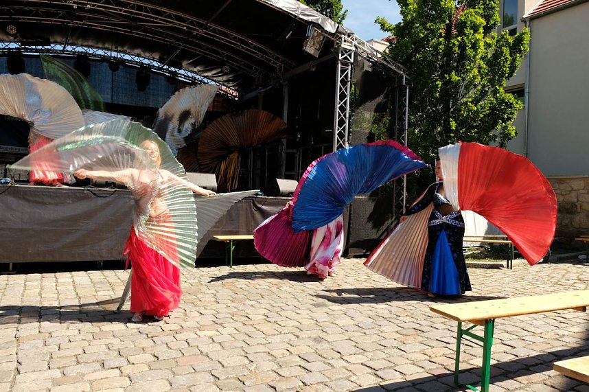 Sachsen-Anhalt-Tag in Quedlinburg