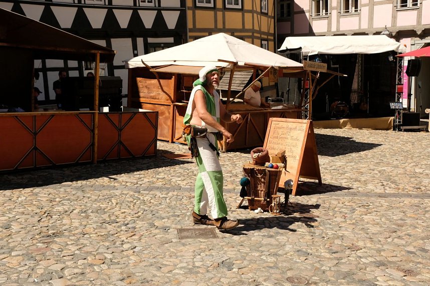 Sachsen-Anhalt-Tag in Quedlinburg