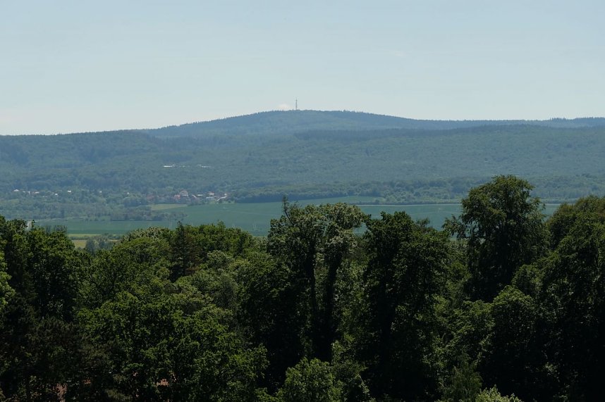 Sachsen-Anhalt-Tag in Quedlinburg