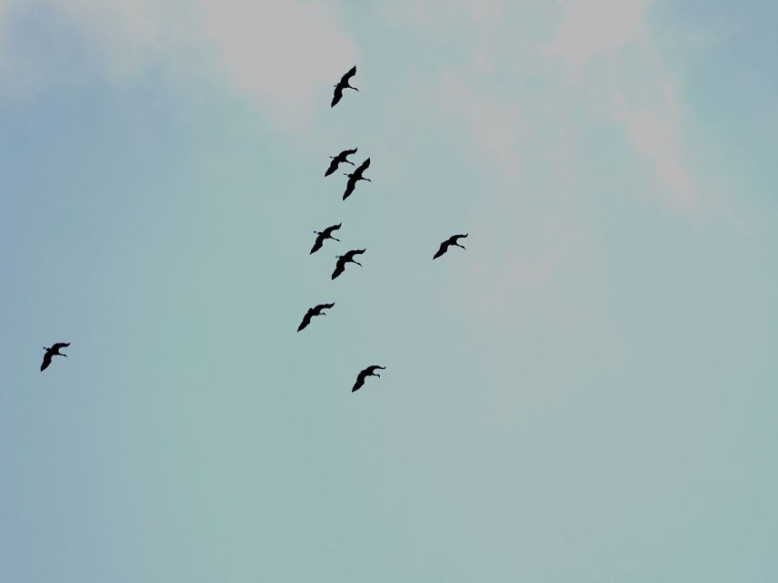 Abendstimmung am Stausee Kelbra