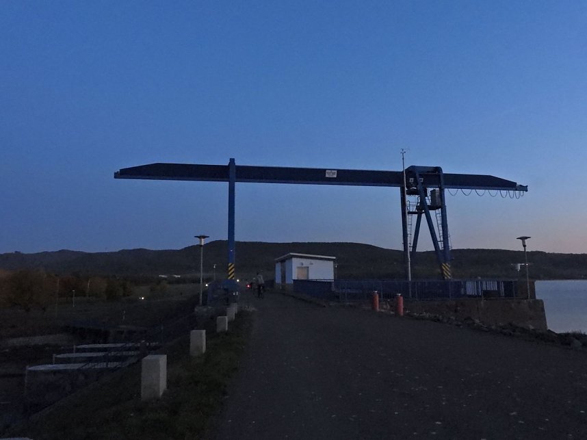 Das Sterben der Fische