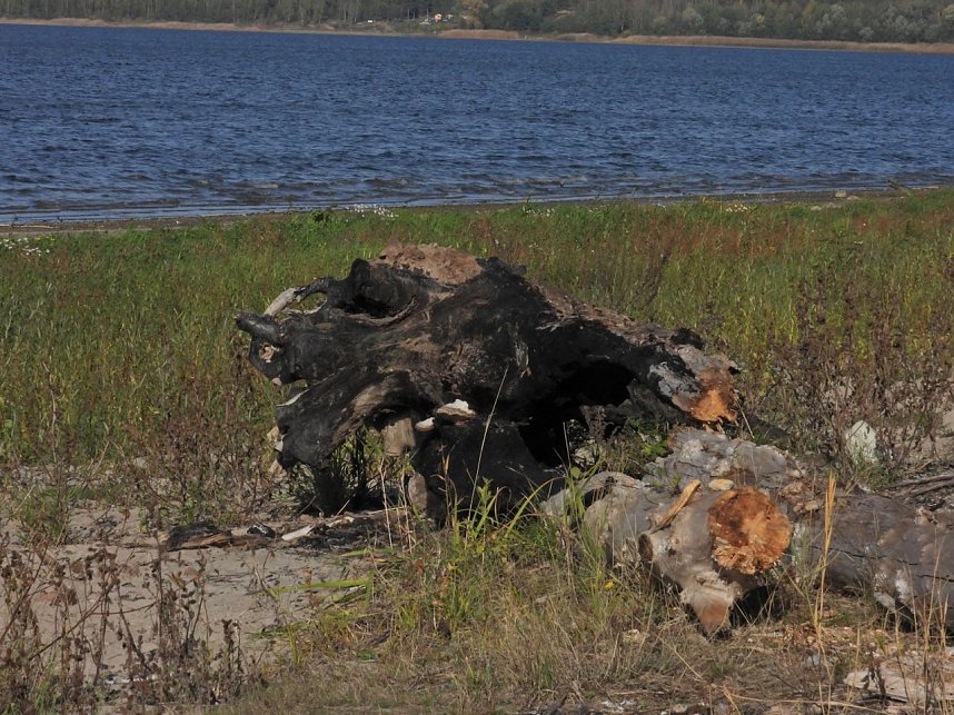 Peter Blei am Muldestausee