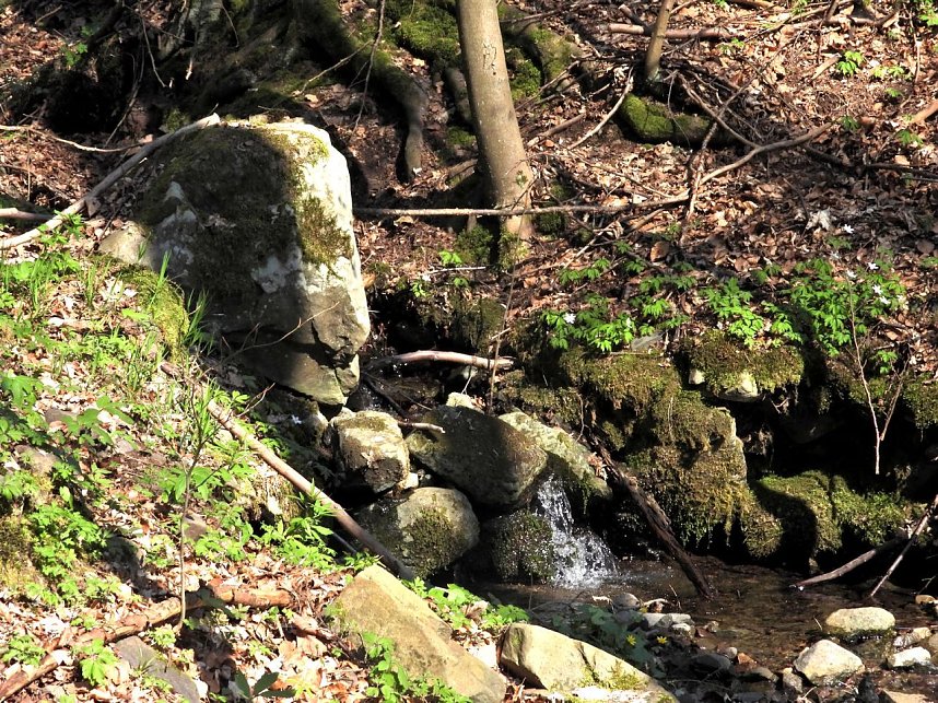 Unterwegs im Brandesbachtal