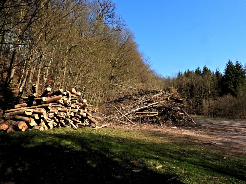 Unterwegs im Brandesbachtal