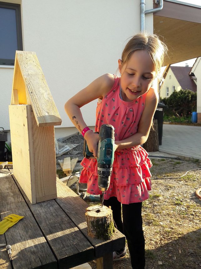 Insektenhotels als Projekt