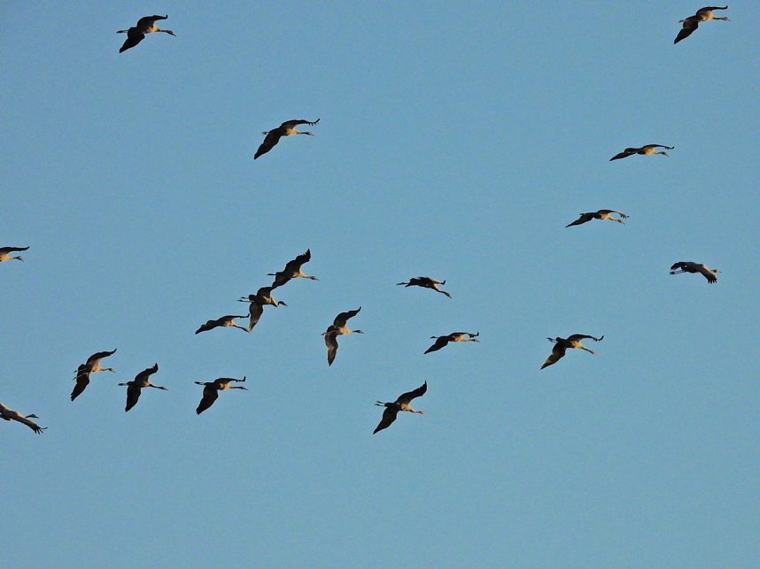 Peter Blei unterwegs am Stausee Kelbra
