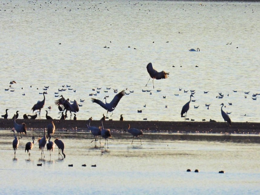 Peter Blei unterwegs am Stausee Kelbra