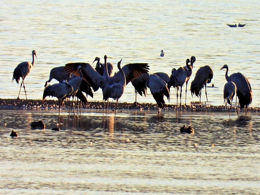 Peter Blei unterwegs am Stausee Kelbra