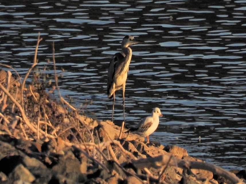 Peter Blei unterwegs am Stausee Kelbra