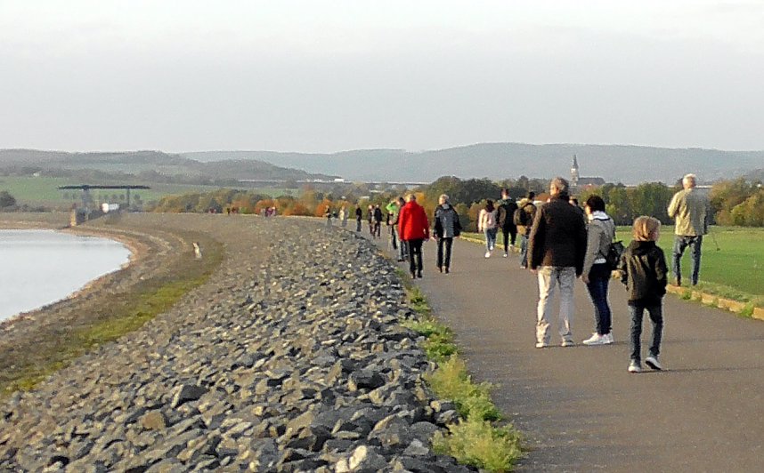 Vogelobservation am Stausee Kelbra