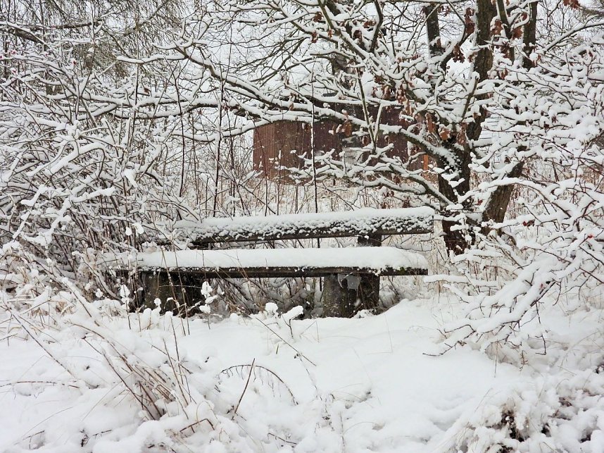 Ausflug nach Stiege